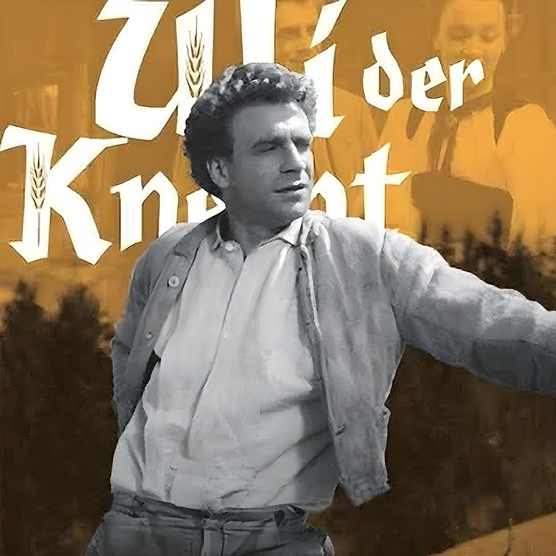 Uli der knecht - Premi, riconoscimenti e incarichi